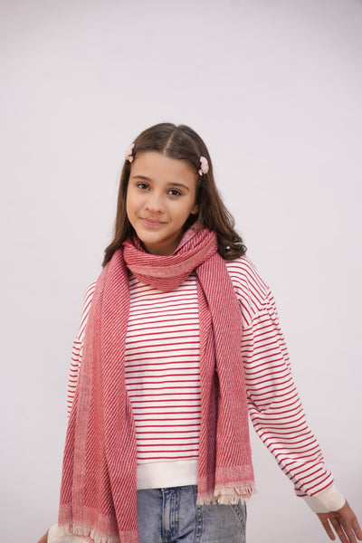 Woolen Diagonal Stripes - Pink