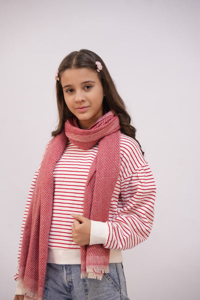 Woolen Diagonal Stripes - Pink