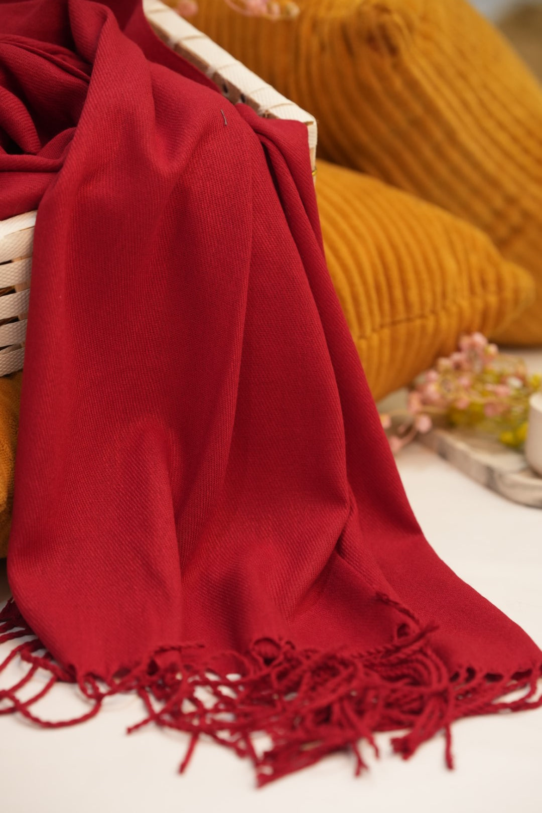 Pashmina Solid Dyed Stole