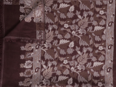 Pashmina Jacquard - Brown with Border